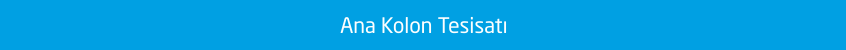 Ana Kolon Tesisat