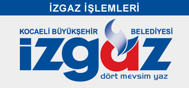 Alternate Text